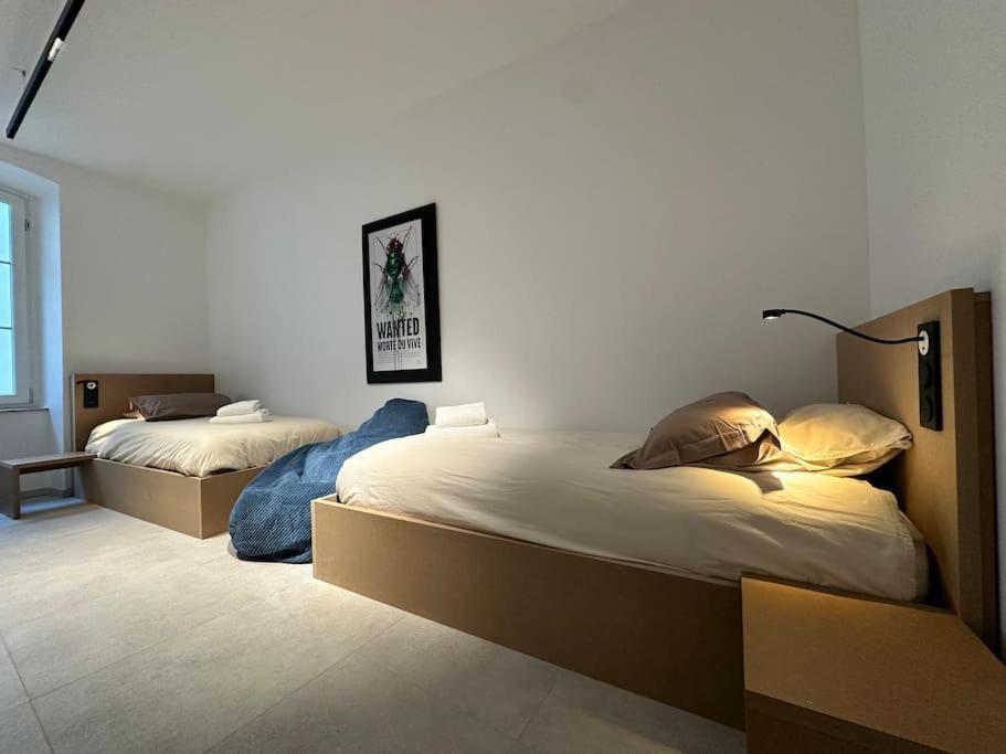 Le Big Stork - - Centre Historique Appartement